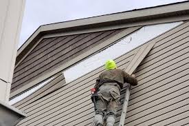 Best Siding Painting and Refinishing  in Mcfarland, WI